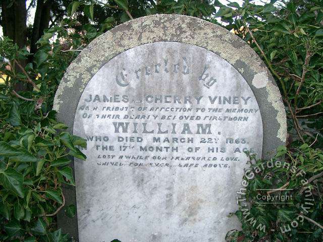 VINEY, William